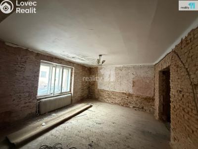 Sale family house Radnice, Nádražní 306 č. 4