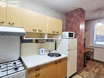 Rent apartment 1+1 Poděbrady, Kunštátská č. 1