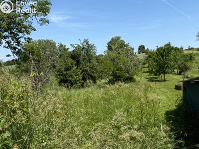 Rent family house Dřínov č. 5