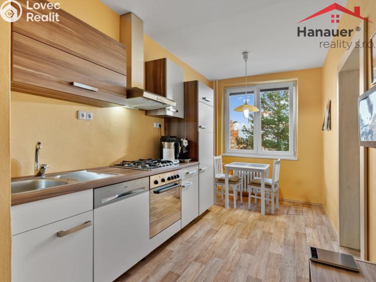 Prodej bytu 3+1 Ústí nad Labem, Dvojdomí č. 2