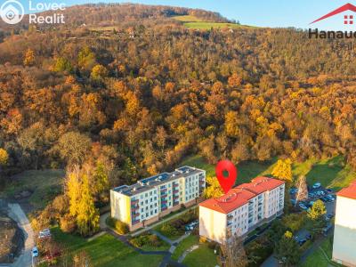 Prodej bytu 3+1 Ústí nad Labem, Dvojdomí č. 1