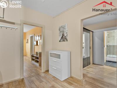 Prodej bytu 3+1 Ústí nad Labem, Dvojdomí č. 4