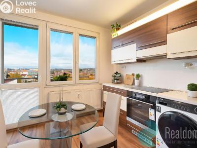 Продаж квартири 1+1 České Budějovice, Papírenská č. 1