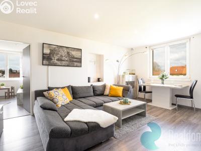 Sale apartment 2+1 Netřebice č. 1