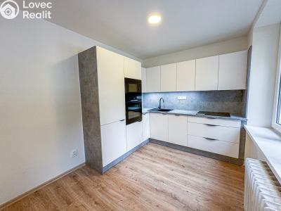 Pronájem bytu 2+KK Karviná, Havířská č. 1