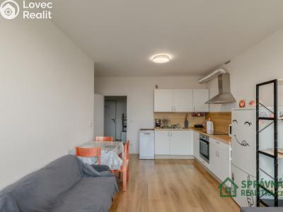 Sale apartment 2+KK Plzeň, Kreuzmannova č. 3