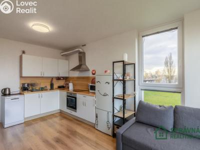 Sale apartment 2+KK Plzeň, Kreuzmannova č. 4