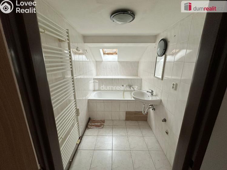 Pronájem bytu 2+1 Mariánské Lázně, Luční č. 10