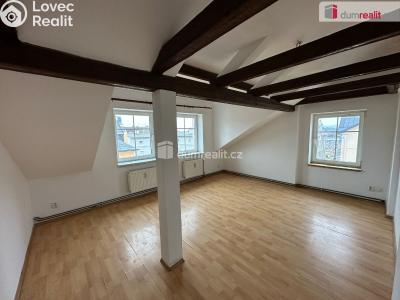 Rent apartment 2+1 Mariánské Lázně, Luční č. 2
