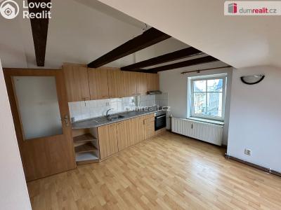 Rent apartment 2+1 Mariánské Lázně, Luční č. 4