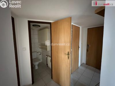 Rent apartment 2+1 Mariánské Lázně, Luční č. 6