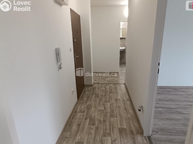 Pronájem bytu 2+1 Luštěnice č. 6