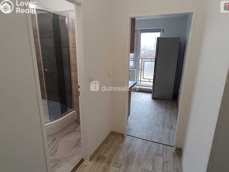 Pronájem bytu 2+1 Luštěnice č. 7