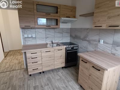 Pronájem bytu 2+1 Luštěnice č. 1