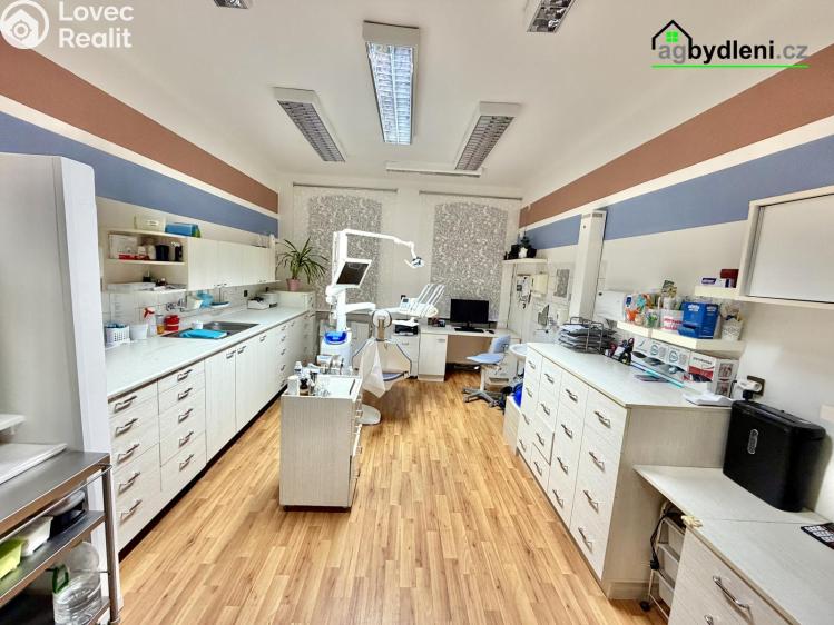 Pronájem ordinace Plzeň, Havlíčkova č. 11