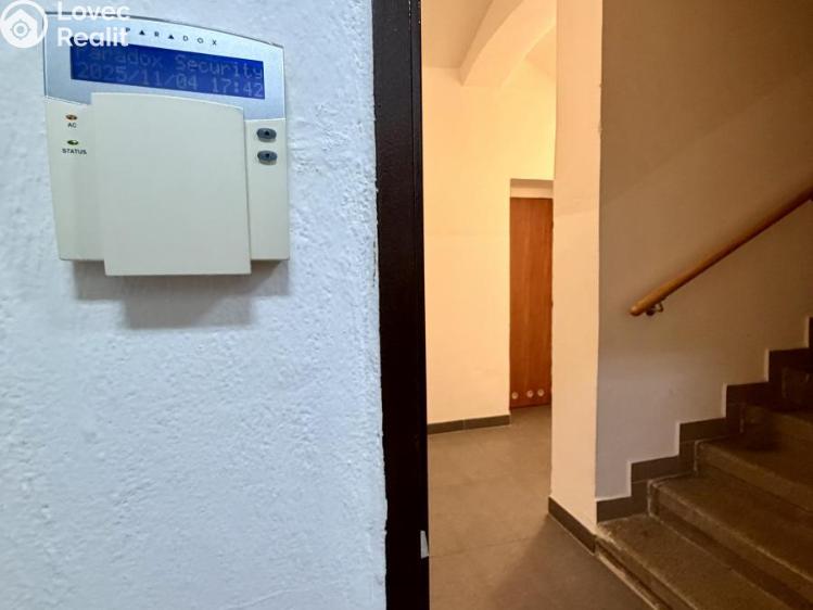 Pronájem ordinace Plzeň, Havlíčkova č. 7