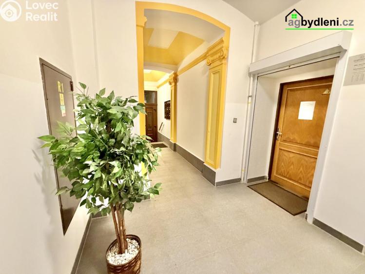 Pronájem ordinace Plzeň, Havlíčkova č. 8