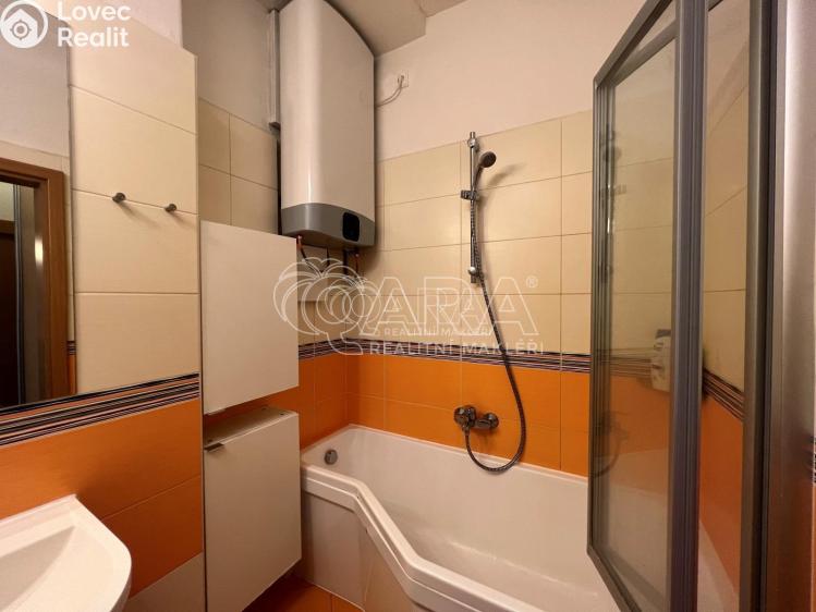 Pronájem bytu 2+1 Ostrava č. 7