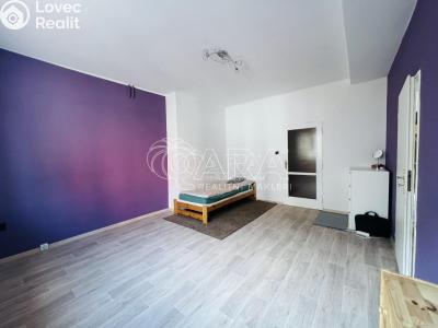 Rent apartment 2+1 Ostrava č. 5