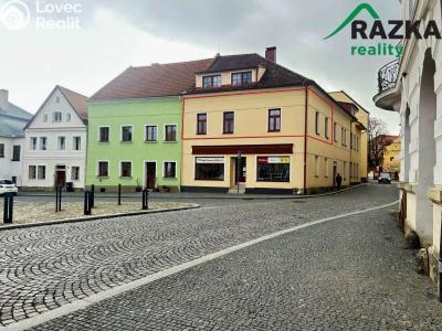 Pronájem bytu 3+KK Planá, náměstí Svobody č. 1