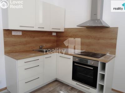 Rent apartment 1+KK Praha 5, Werichova č. 1