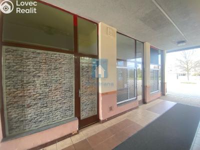 Rent commercial space Plzeň, Karla Steinera č. 1