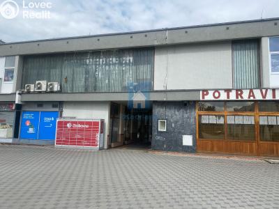 Rent commercial space Plzeň, Karla Steinera č. 2