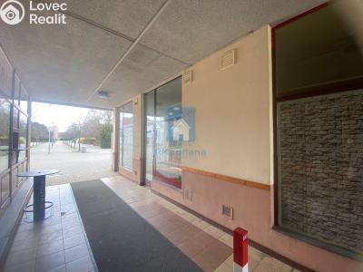 Rent commercial space Plzeň, Karla Steinera č. 5