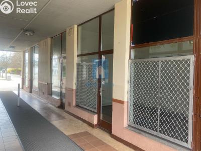 Pronájem obchodního prostoru Plzeň, Karla Steinera č. 4