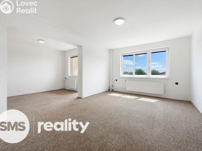 Sale family house Čáslavice č. 4