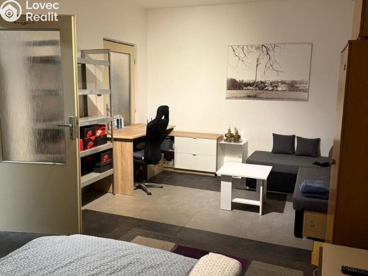 Pronájem bytu 1+1 Plzeň, Brněnská č. 3