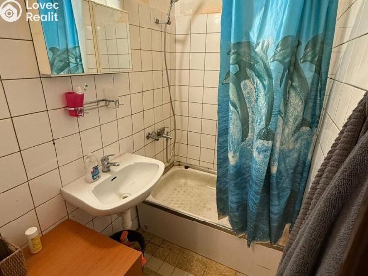 Pronájem bytu 1+1 Plzeň, Brněnská č. 5