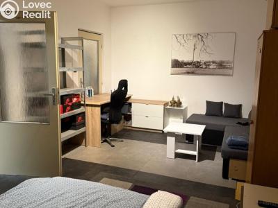 Pronájem bytu 1+1 Plzeň, Brněnská č. 3