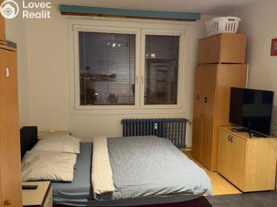 Pronájem bytu 1+1 Plzeň, Brněnská č. 4