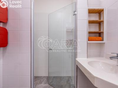 Rent apartment 2+KK Praha, Vršovická č. 3