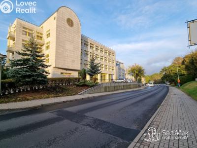 Rent apartment 4+1 Sokolov, Boženy Němcové č. 1