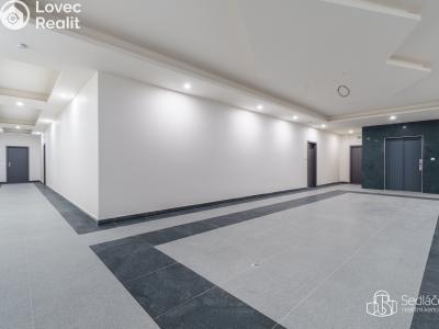 Rent apartment 4+1 Sokolov, Boženy Němcové č. 3