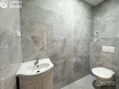 Rent apartment 4+1 Sokolov, Boženy Němcové č. 4