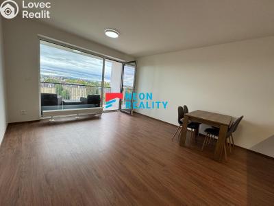 Rent apartment 1+KK Opava, Císařského pluku č. 4