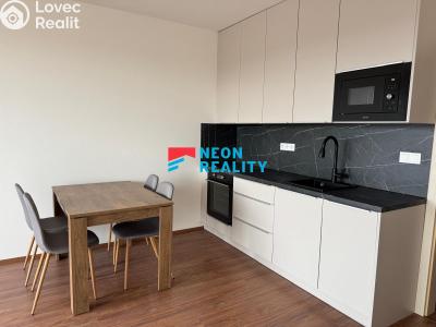 Rent apartment 1+KK Opava, Císařského pluku č. 5