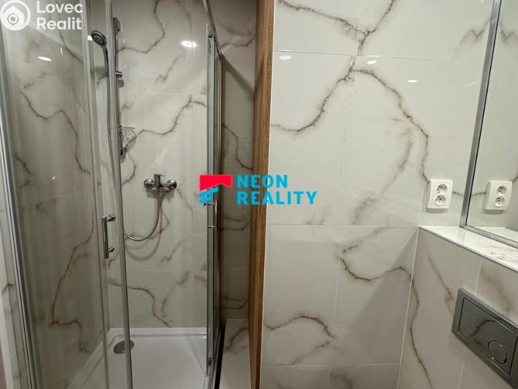 Pronájem bytu 1+KK Ostrava, Lechowiczova 2836/2 č. 6