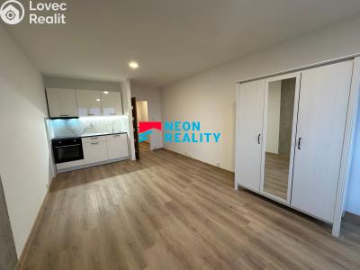 Rent apartment 1+KK Ostrava, Lechowiczova č. 2