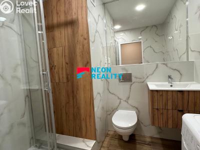 Rent apartment 1+KK Ostrava, Lechowiczova č. 4