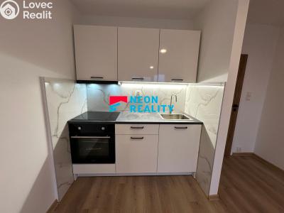 Pronájem bytu 1+KK Ostrava, Lechowiczova č. 1