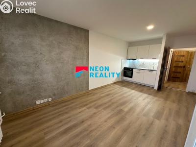 Pronájem bytu 1+KK Ostrava, Lechowiczova č. 3