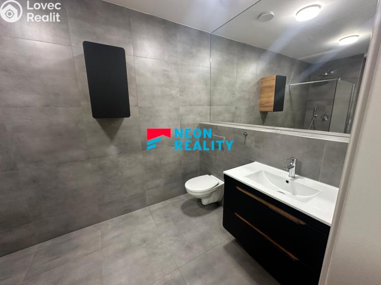 Pronájem bytu 2+KK Ostrava, Petra Křičky č. 4