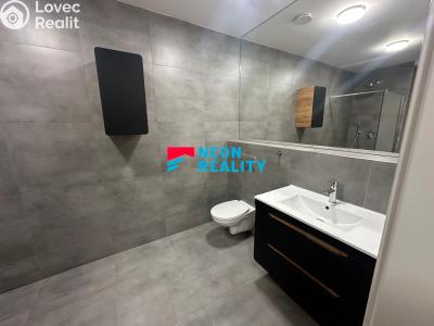 Pronájem bytu 2+KK Ostrava, Petra Křičky č. 4