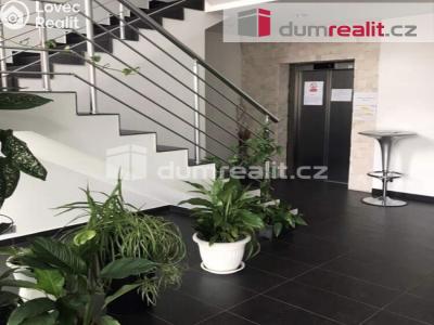 Rent apartment 1+KK Praha 14, Pilská č. 3