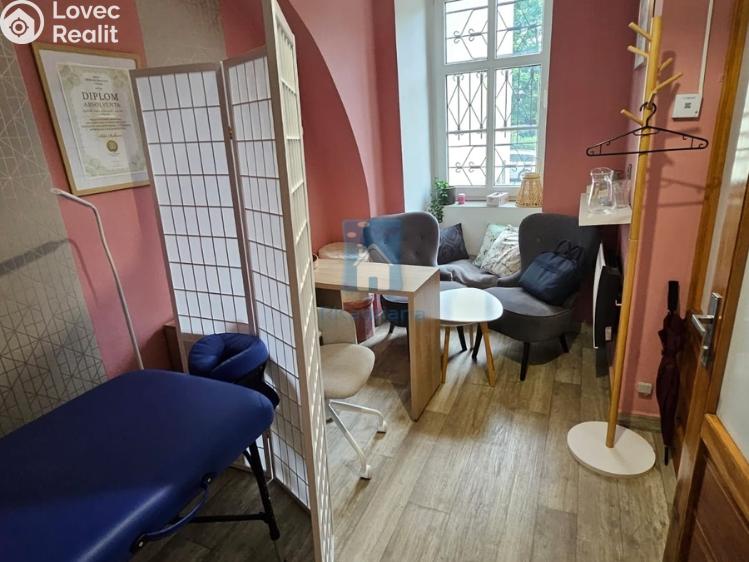 Pronájem obchodního prostoru Plzeň, sady 5. května č. 1