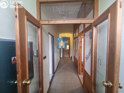 Оренда торгового приміщення Plzeň, sady 5. května č. 4